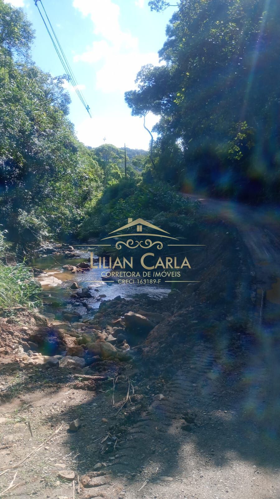 Terreno, 5 hectares - Foto 9