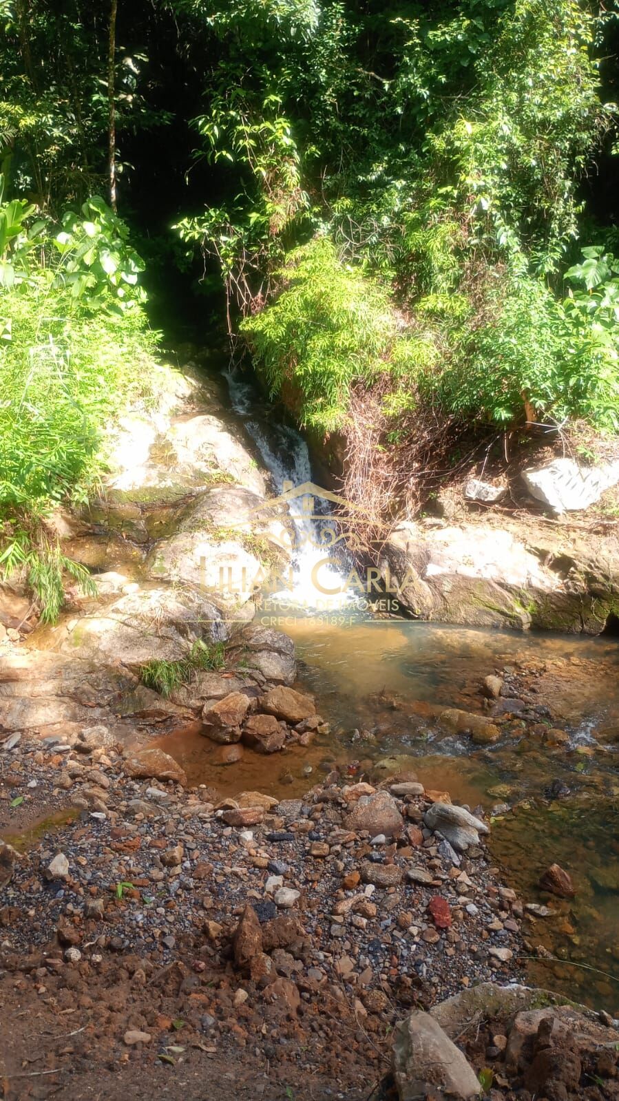 Terreno, 5 hectares - Foto 3