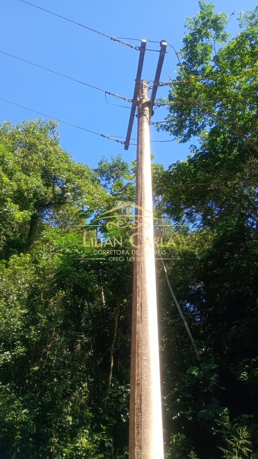 Terreno, 5 hectares - Foto 8
