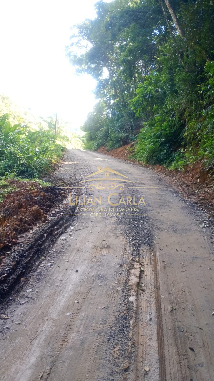 Terreno, 5 hectares - Foto 5