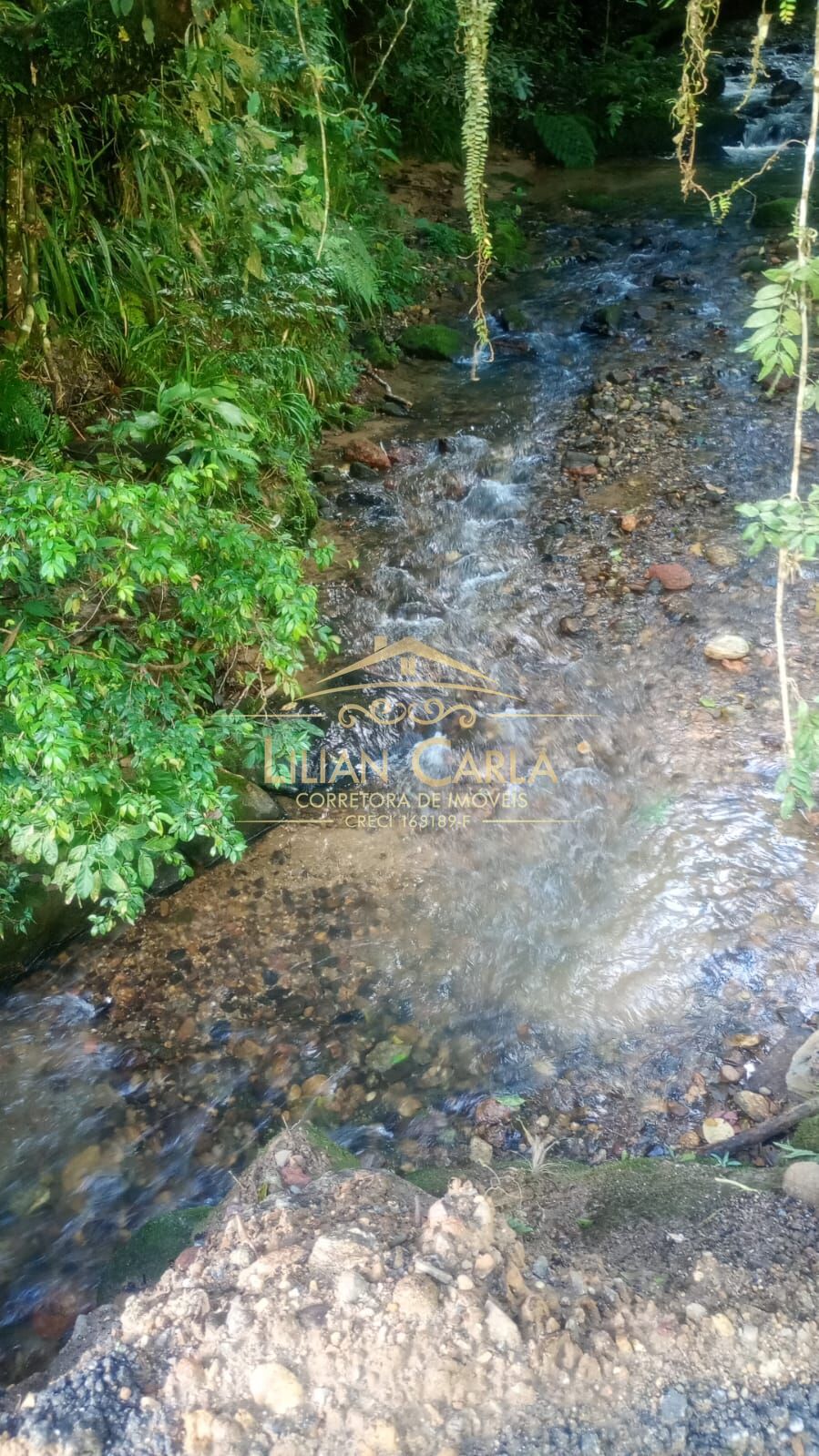 Terreno, 5 hectares - Foto 2