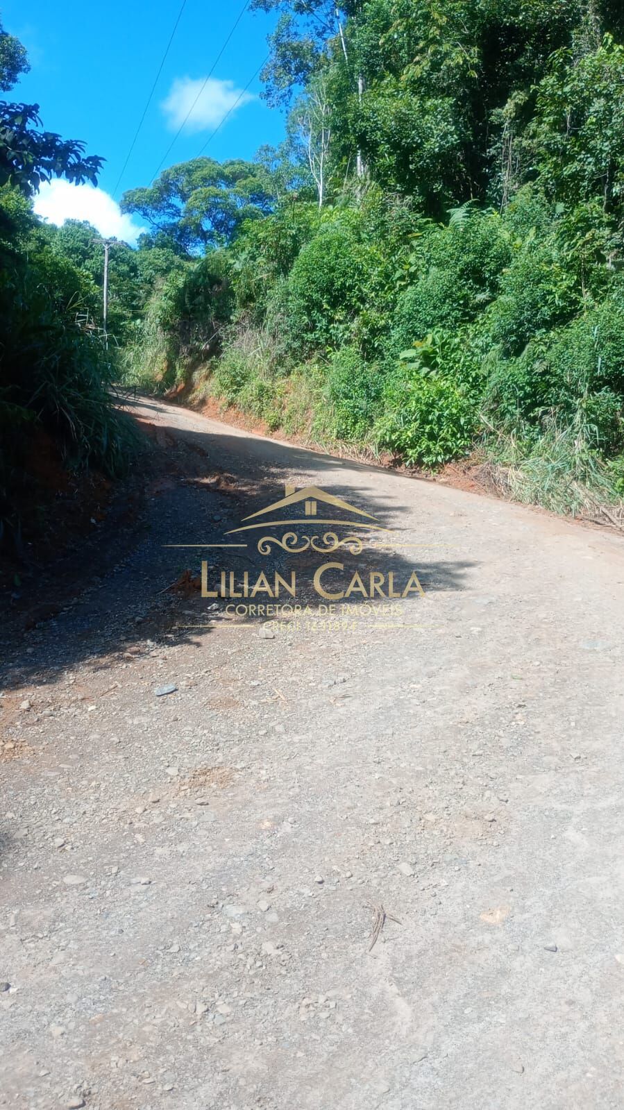 Terreno, 5 hectares - Foto 6