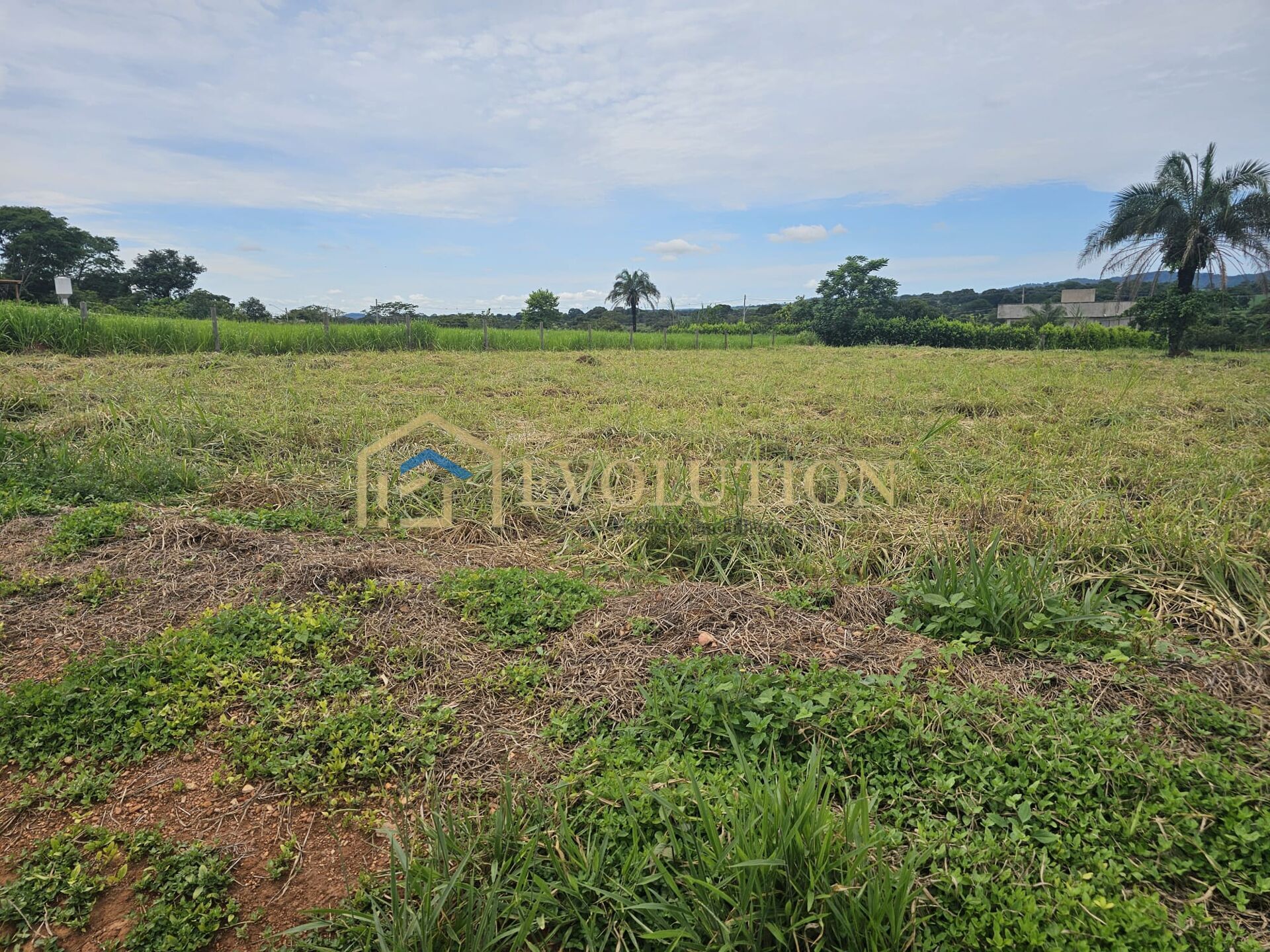 Terreno à venda, 1500m² - Foto 11