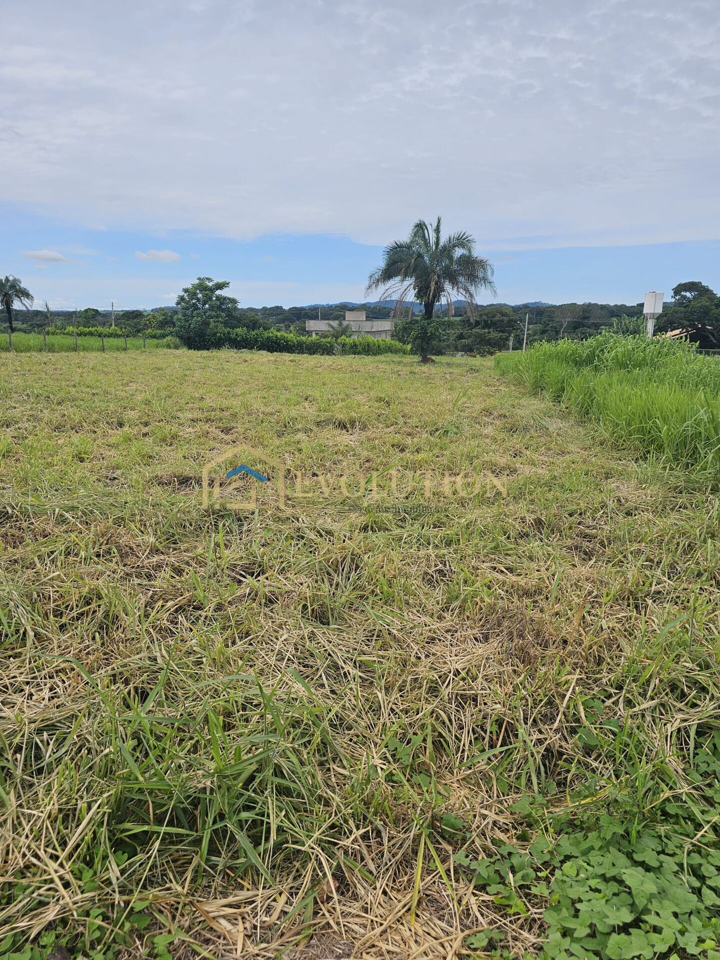 Terreno à venda, 1500m² - Foto 9