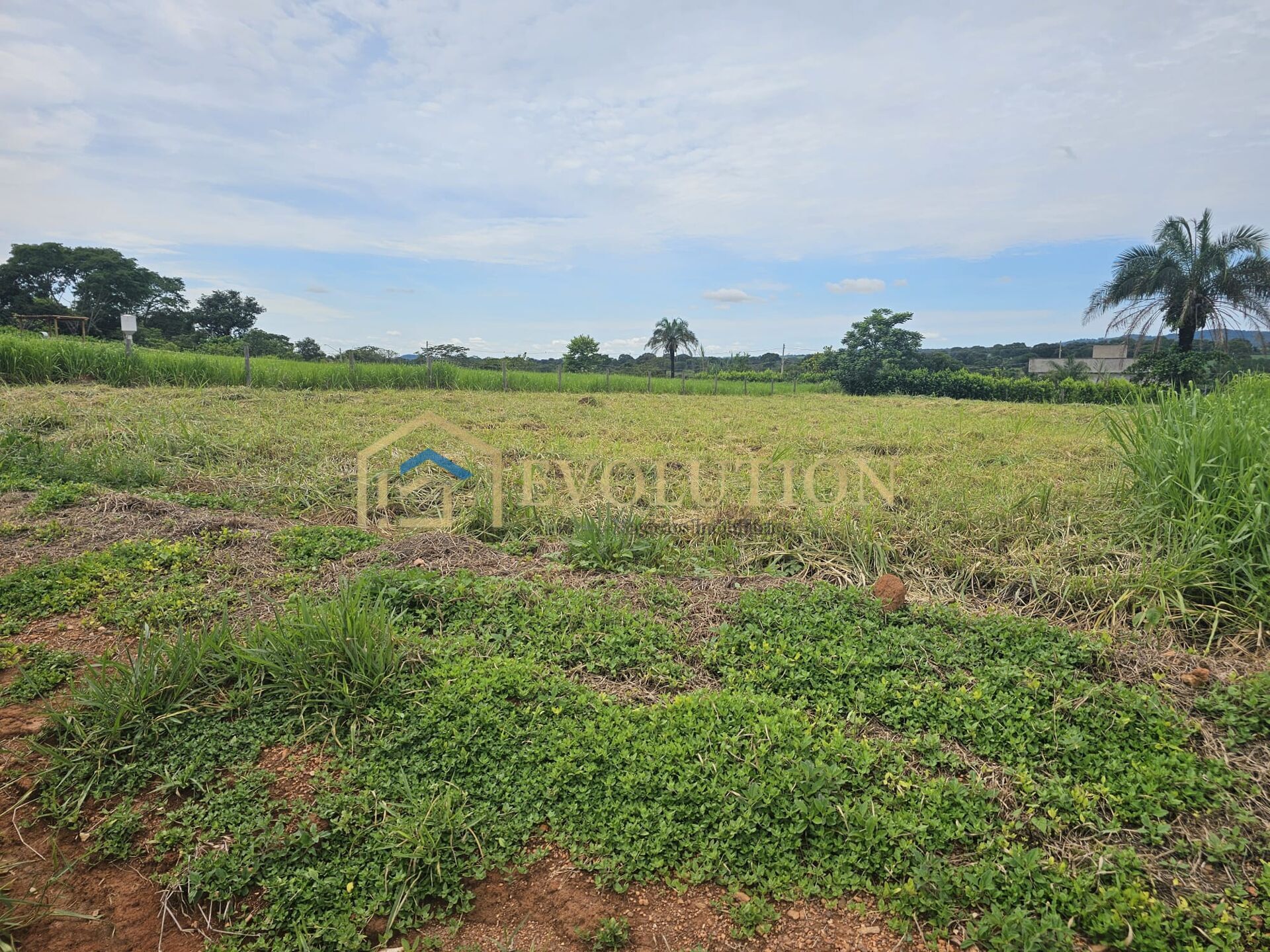 Terreno à venda, 1500m² - Foto 10
