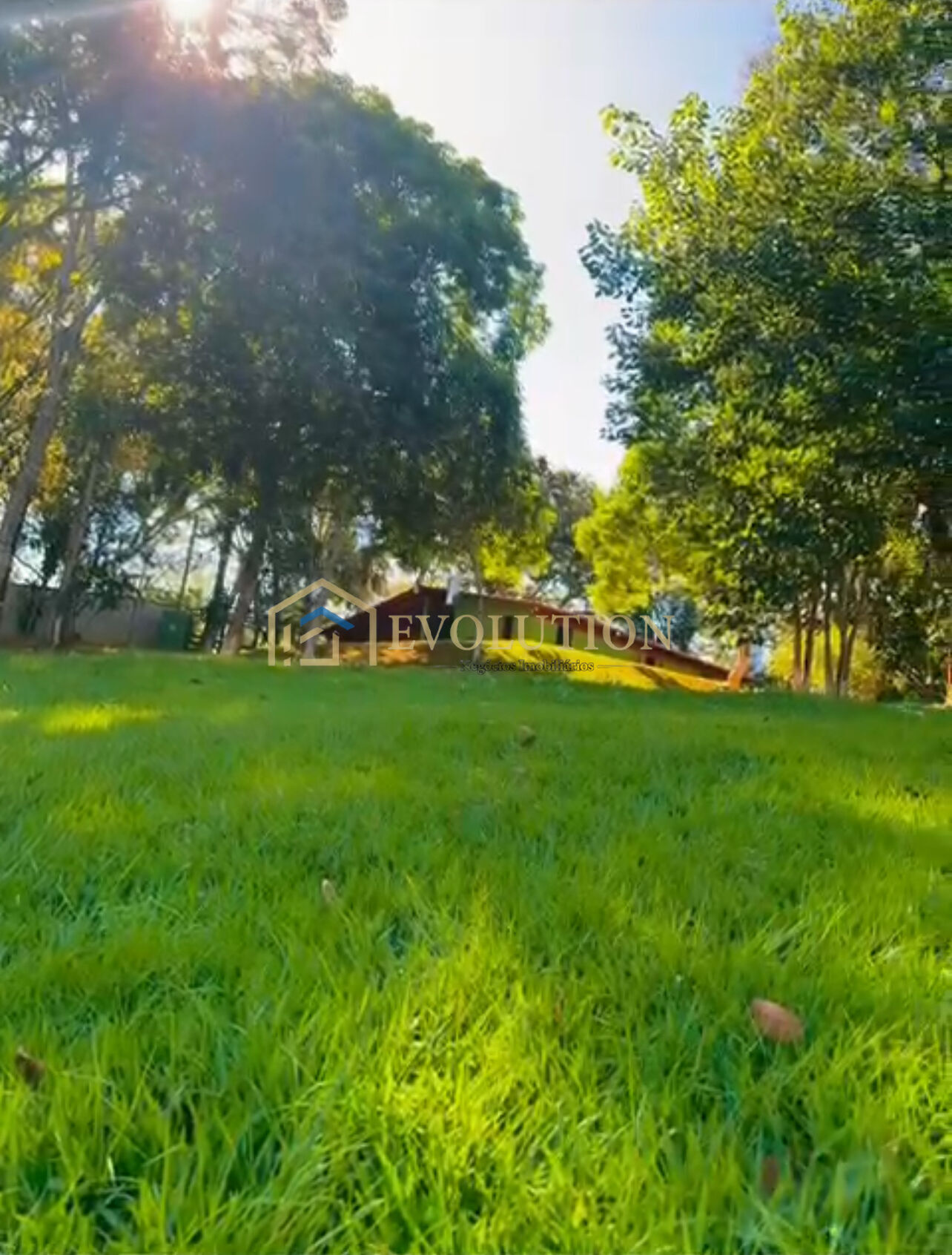 Sítio à venda com 3 quartos, 9700m² - Foto 2