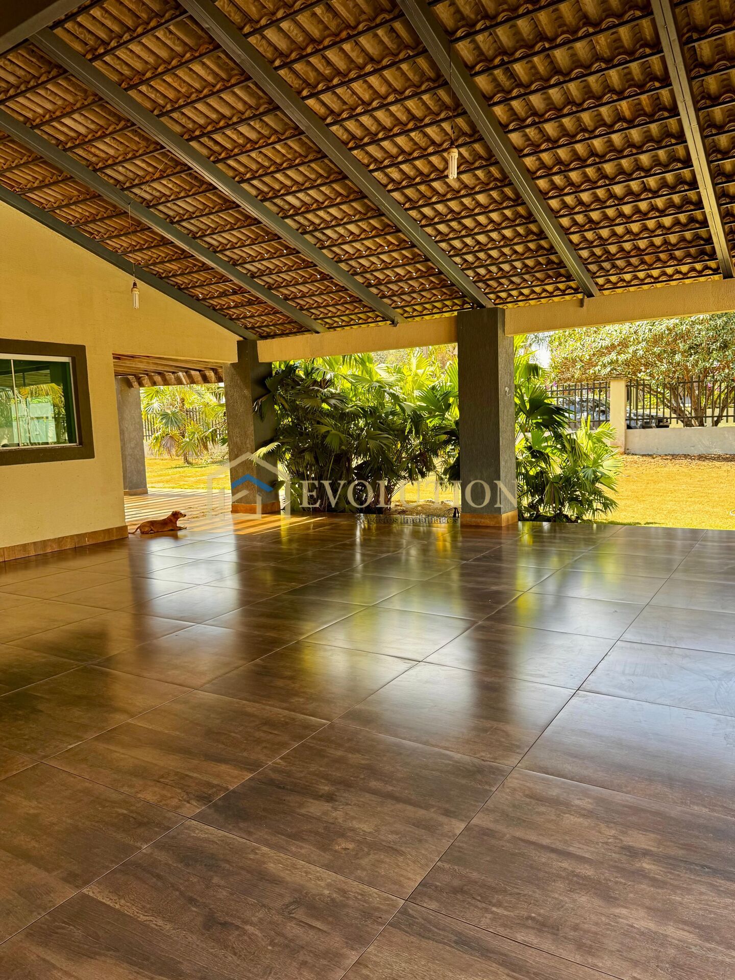 Chácara à venda com 3 quartos, 5000m² - Foto 9
