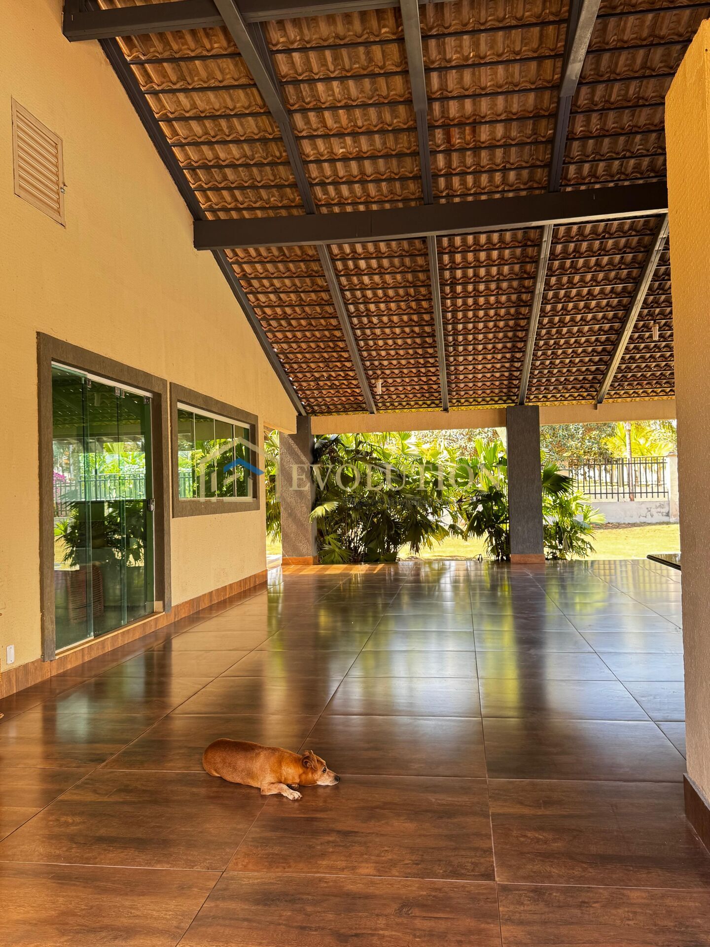 Chácara à venda com 3 quartos, 5000m² - Foto 12