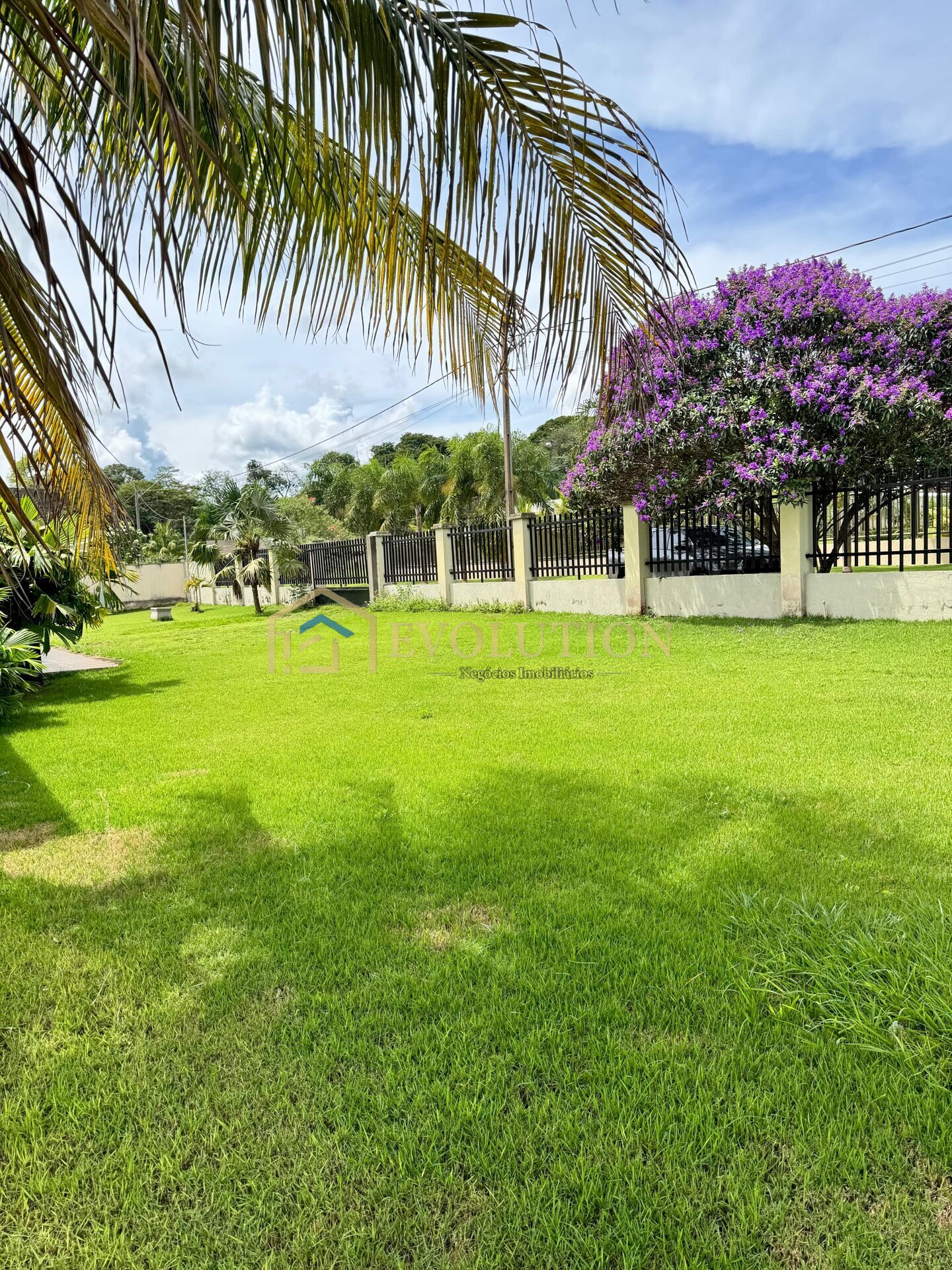 Chácara à venda com 3 quartos, 5000m² - Foto 4