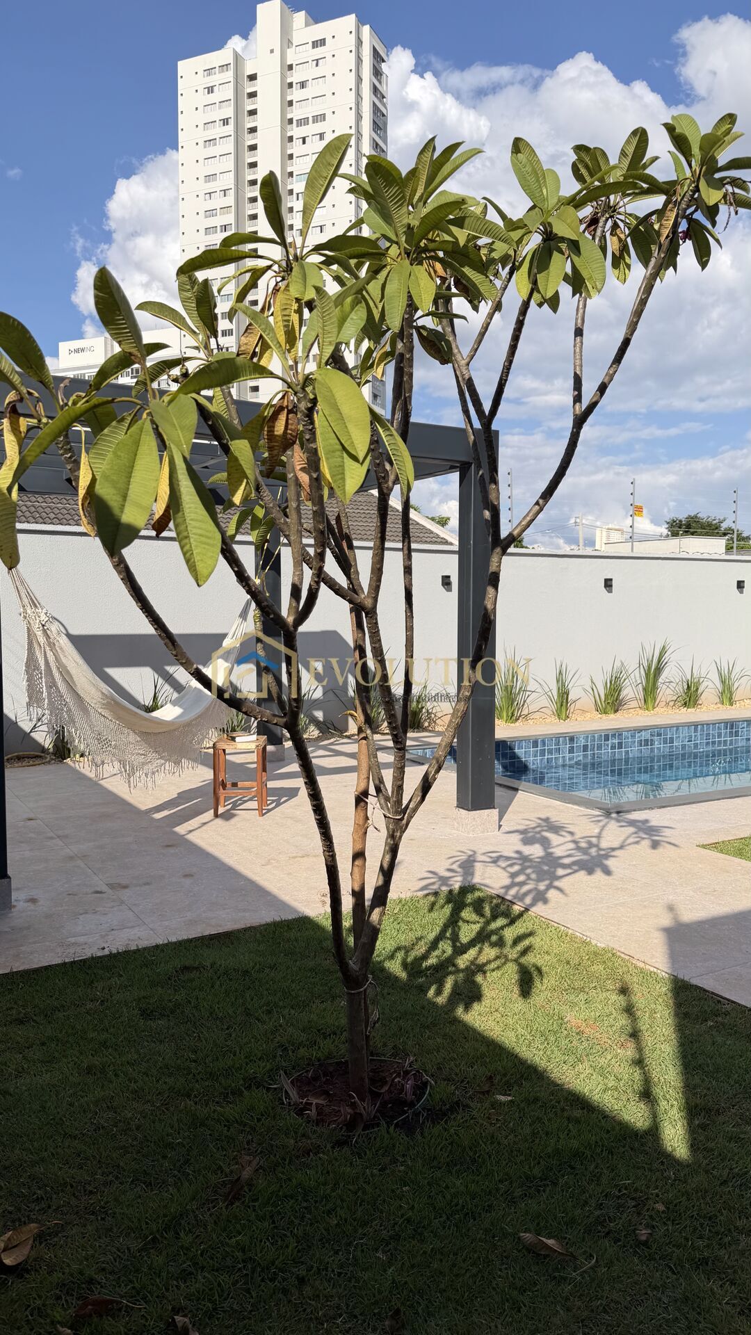 Casa, 3 quartos, 420 m² - Foto 23
