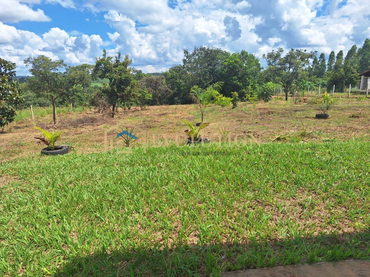 Chácara à venda com 3 quartos, 20000m² - Foto 12