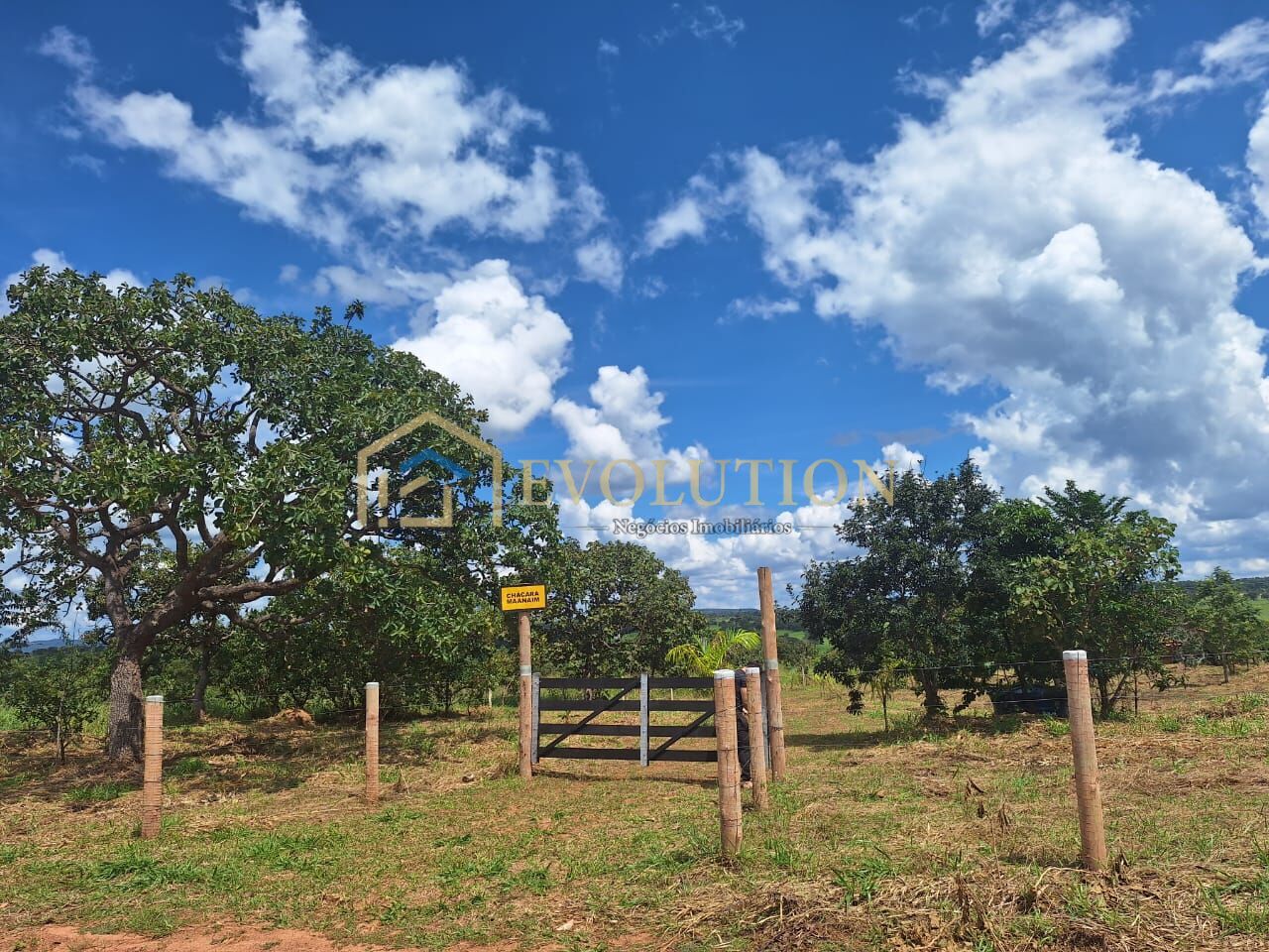 Chácara à venda com 3 quartos, 20000m² - Foto 1