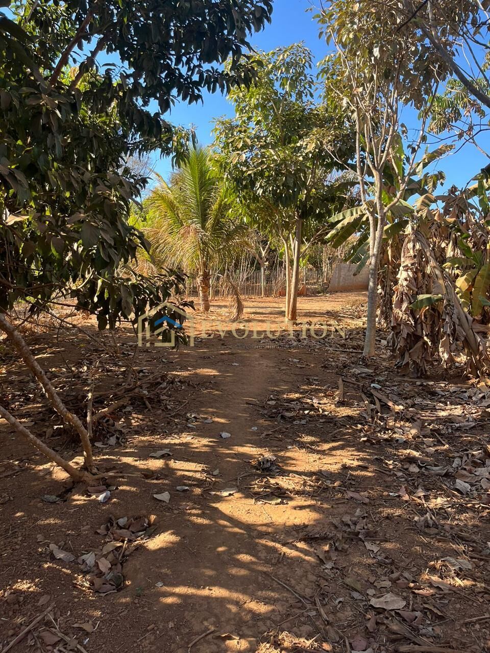 Chácara à venda com 3 quartos, 5000m² - Foto 8