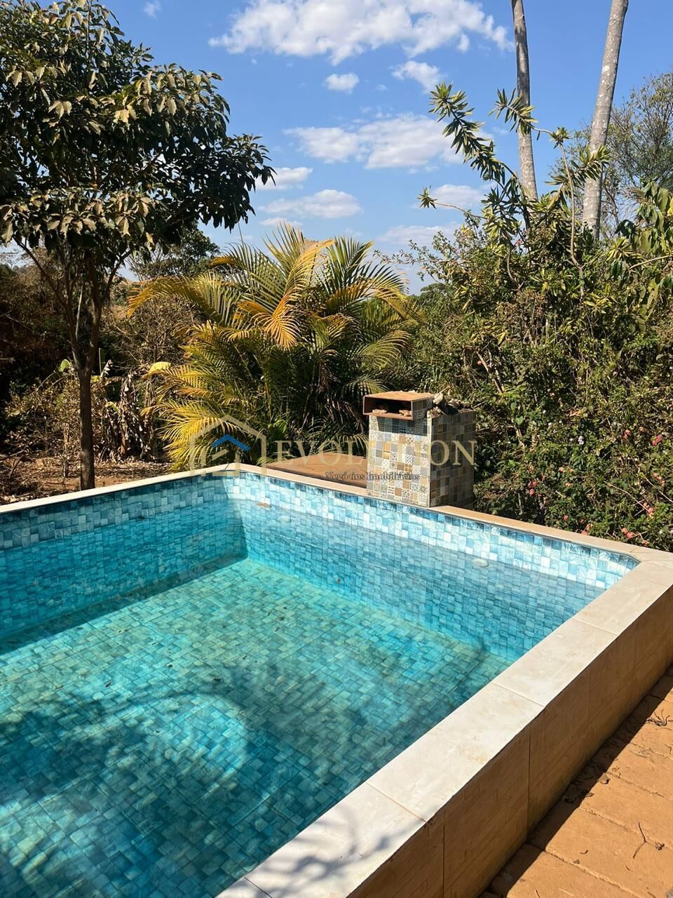 Chácara à venda com 3 quartos, 5000m² - Foto 6