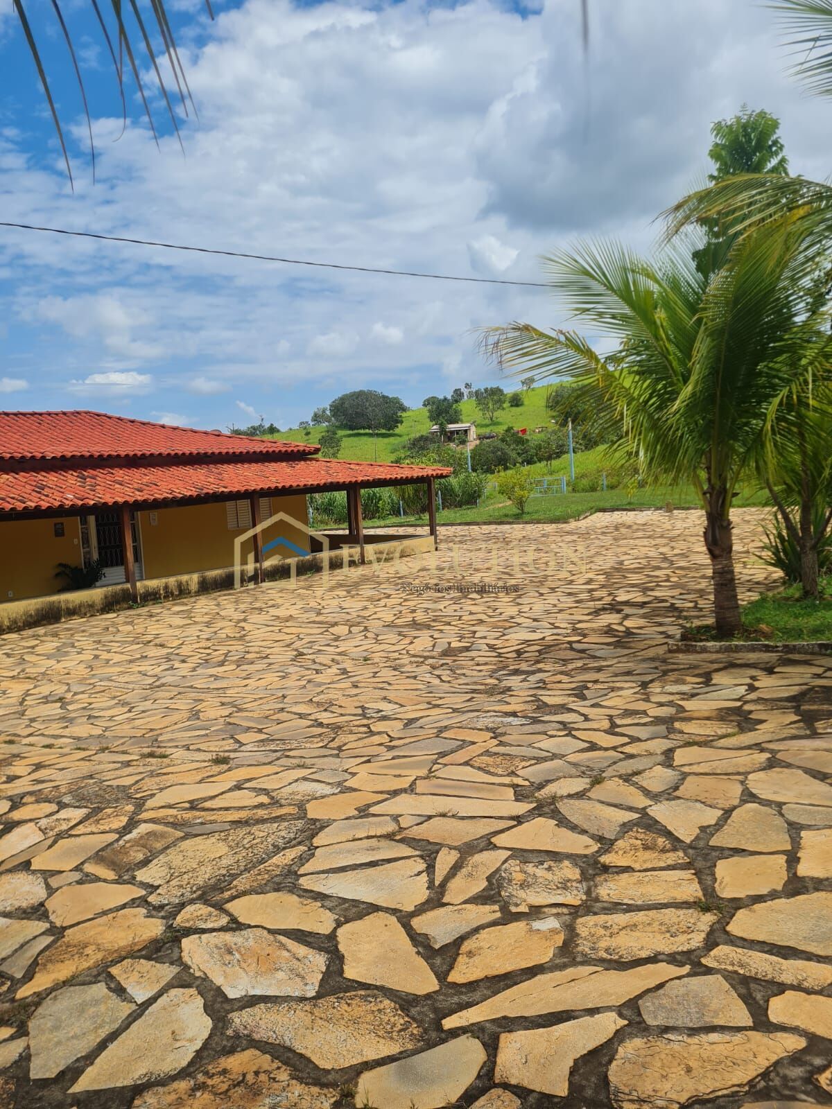 Fazenda à venda com 5 quartos, 10000m² - Foto 4