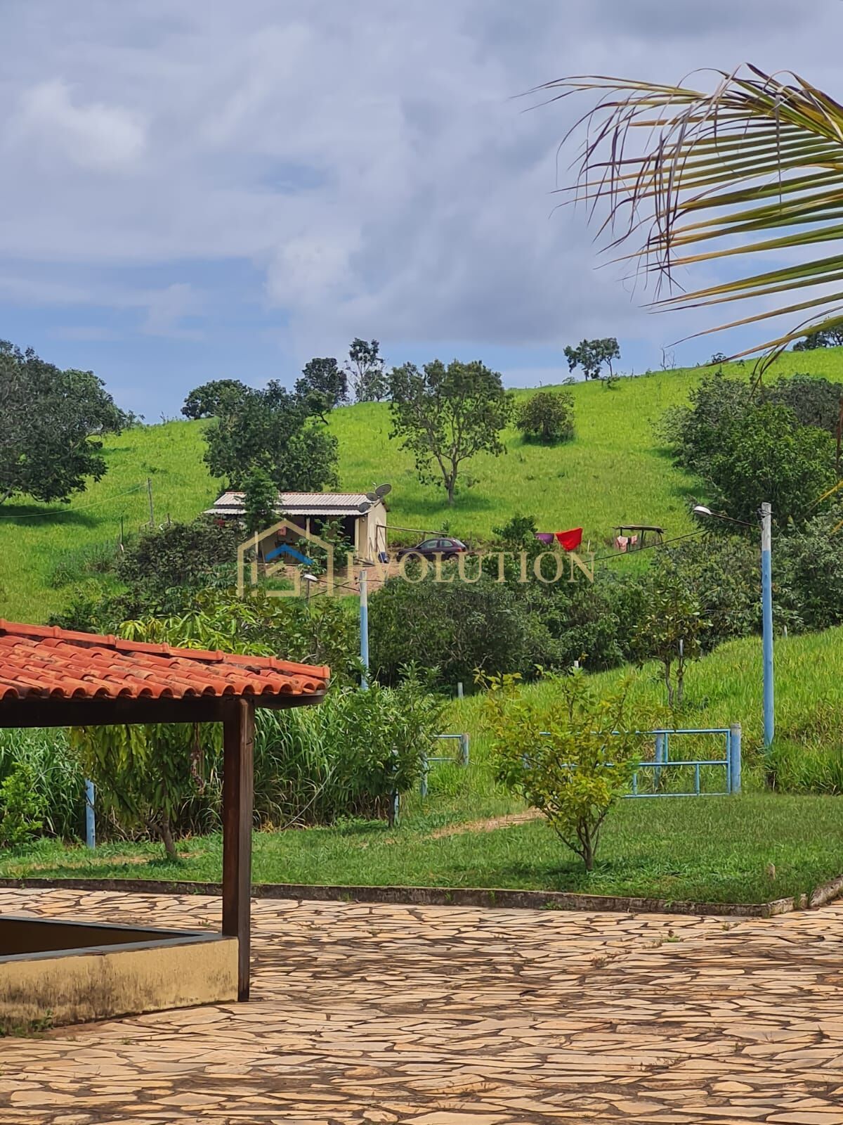 Fazenda à venda com 5 quartos, 10000m² - Foto 12