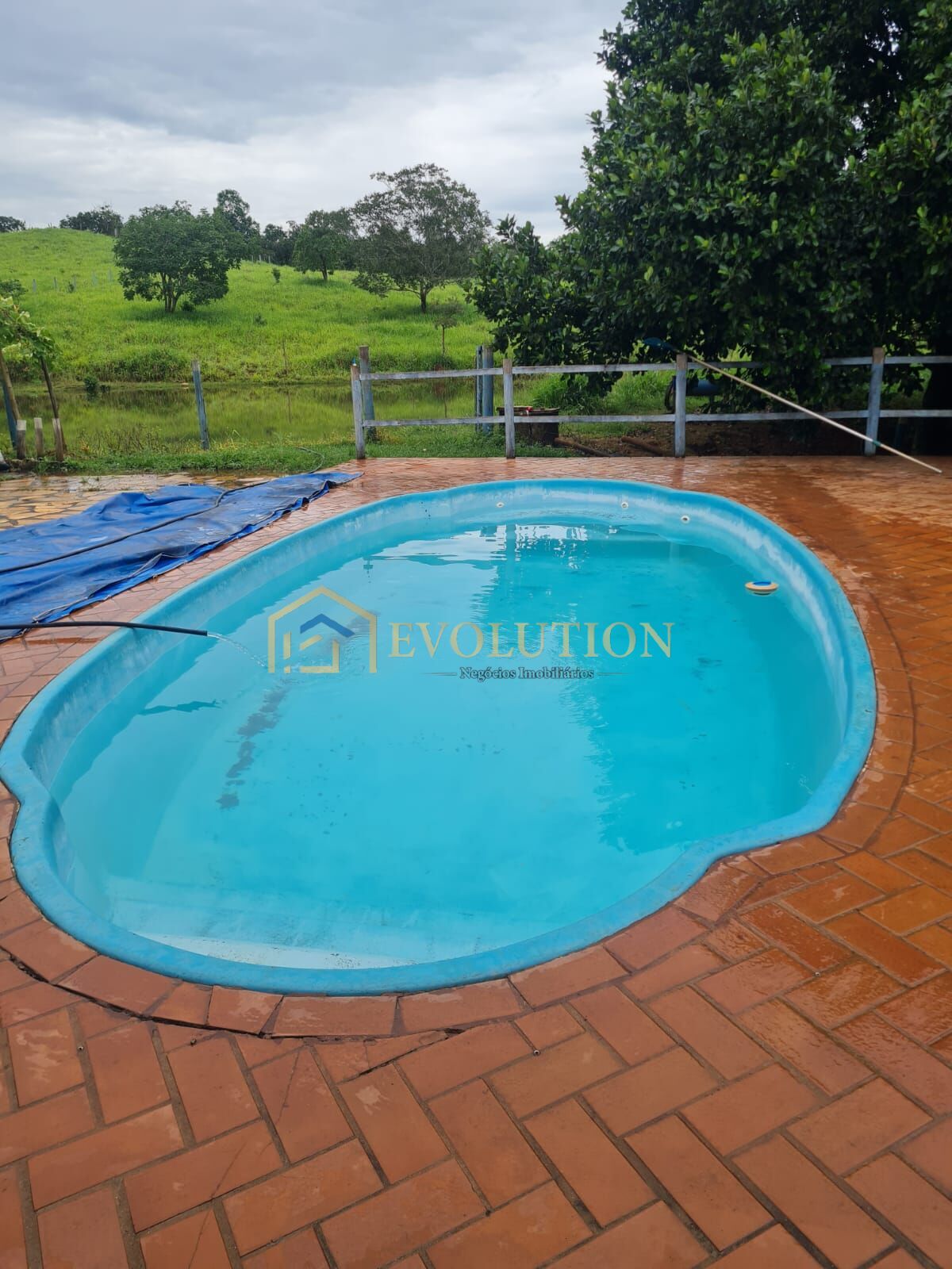 Fazenda à venda com 5 quartos, 10000m² - Foto 14