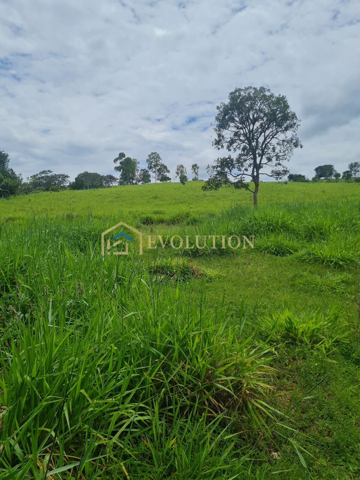 Fazenda à venda com 5 quartos, 10000m² - Foto 17