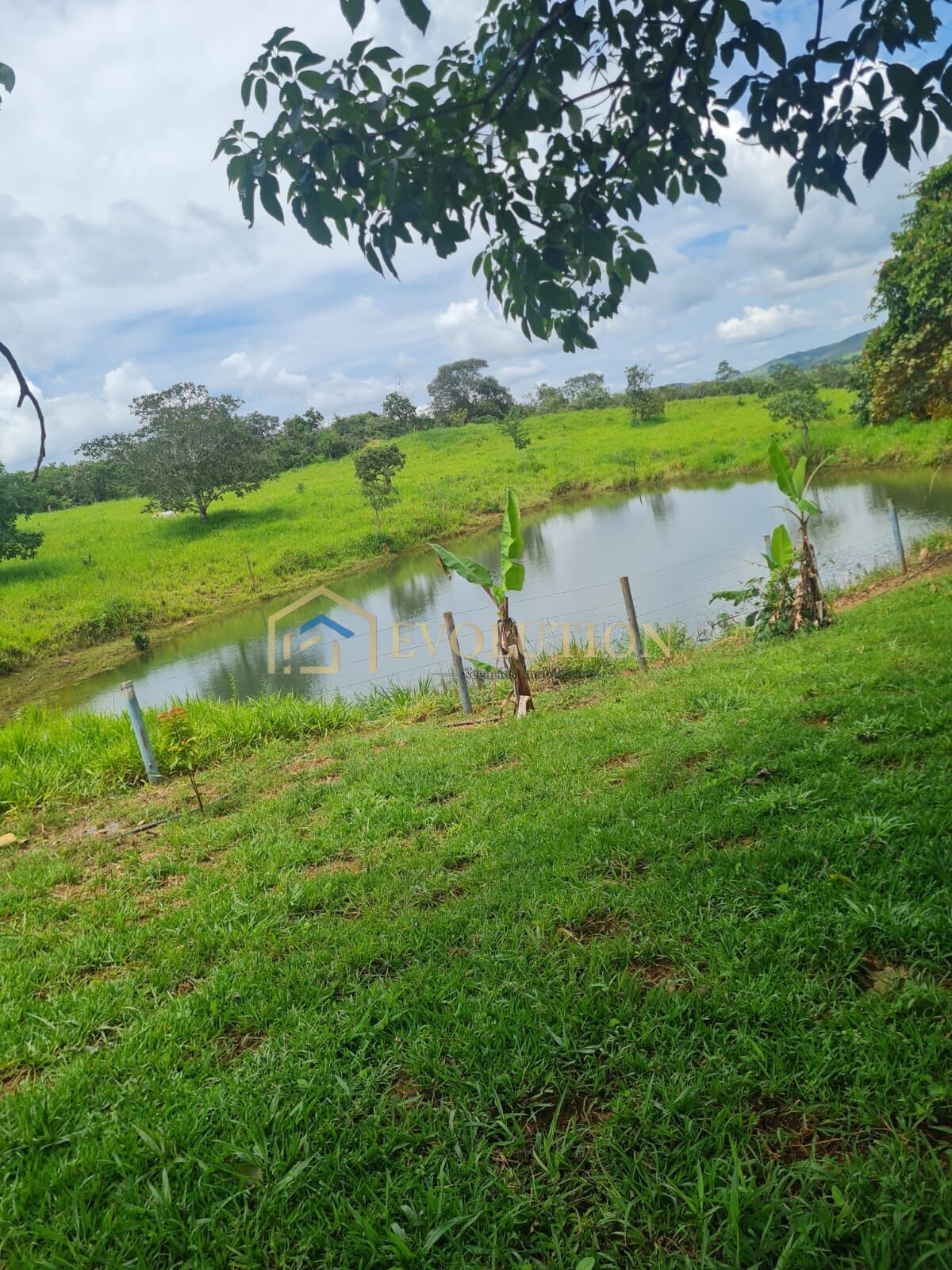 Fazenda à venda com 5 quartos, 10000m² - Foto 8