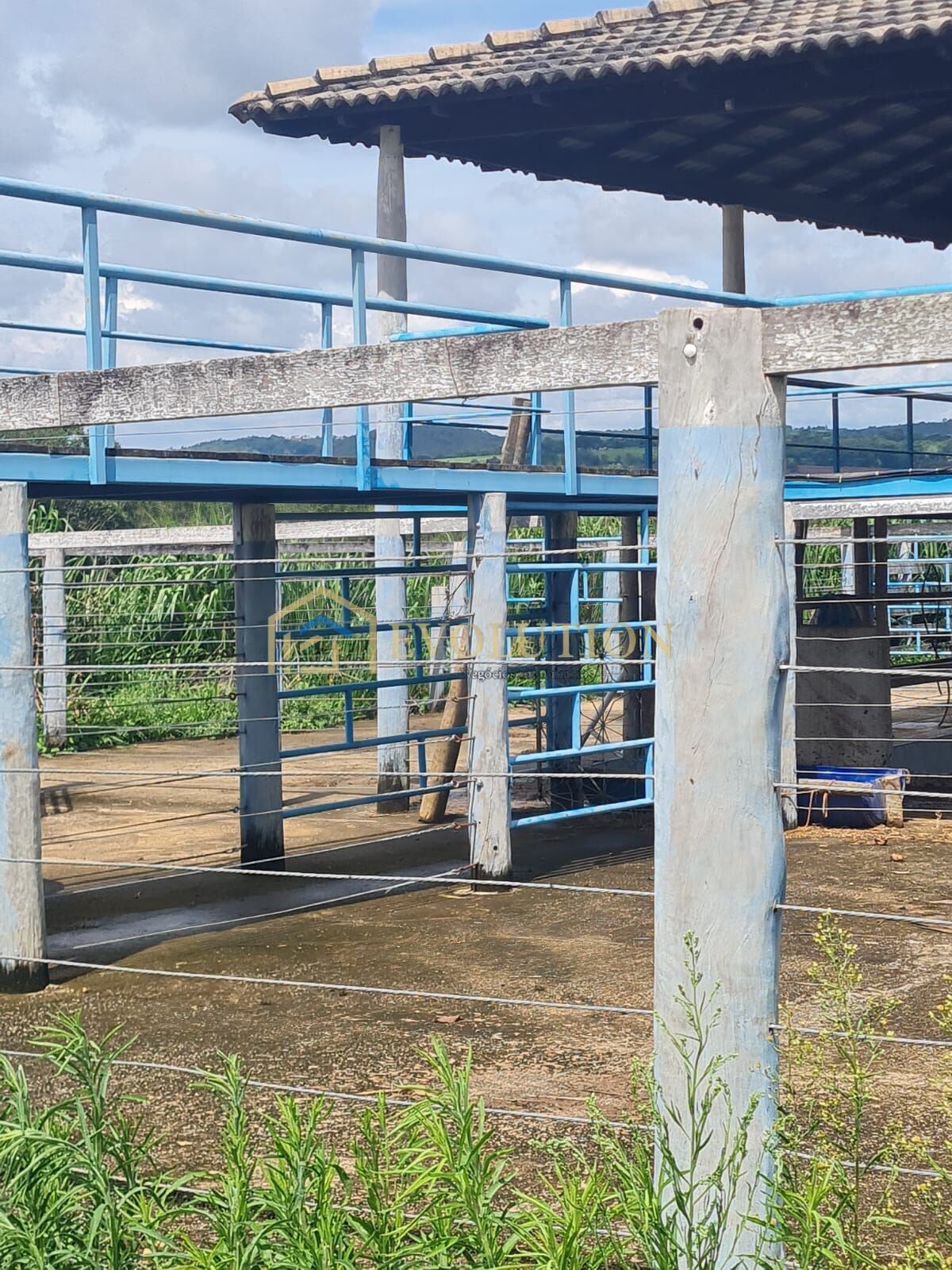Fazenda à venda com 5 quartos, 10000m² - Foto 16