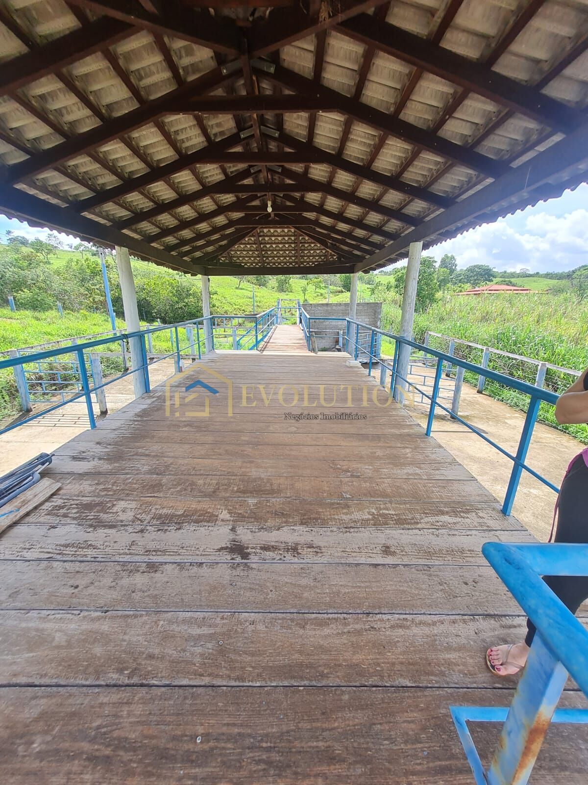 Fazenda à venda com 5 quartos, 10000m² - Foto 6