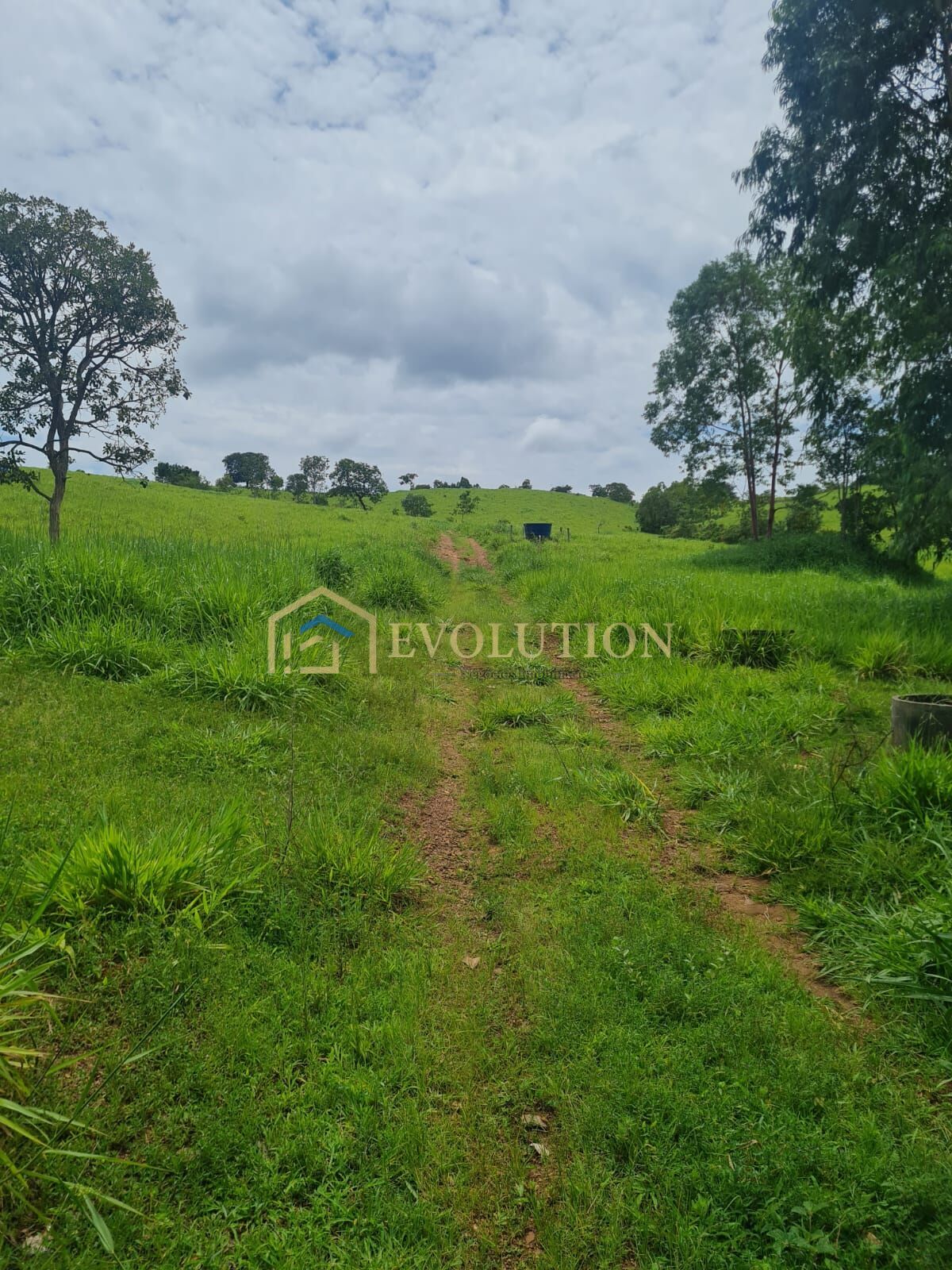 Fazenda à venda com 5 quartos, 10000m² - Foto 15