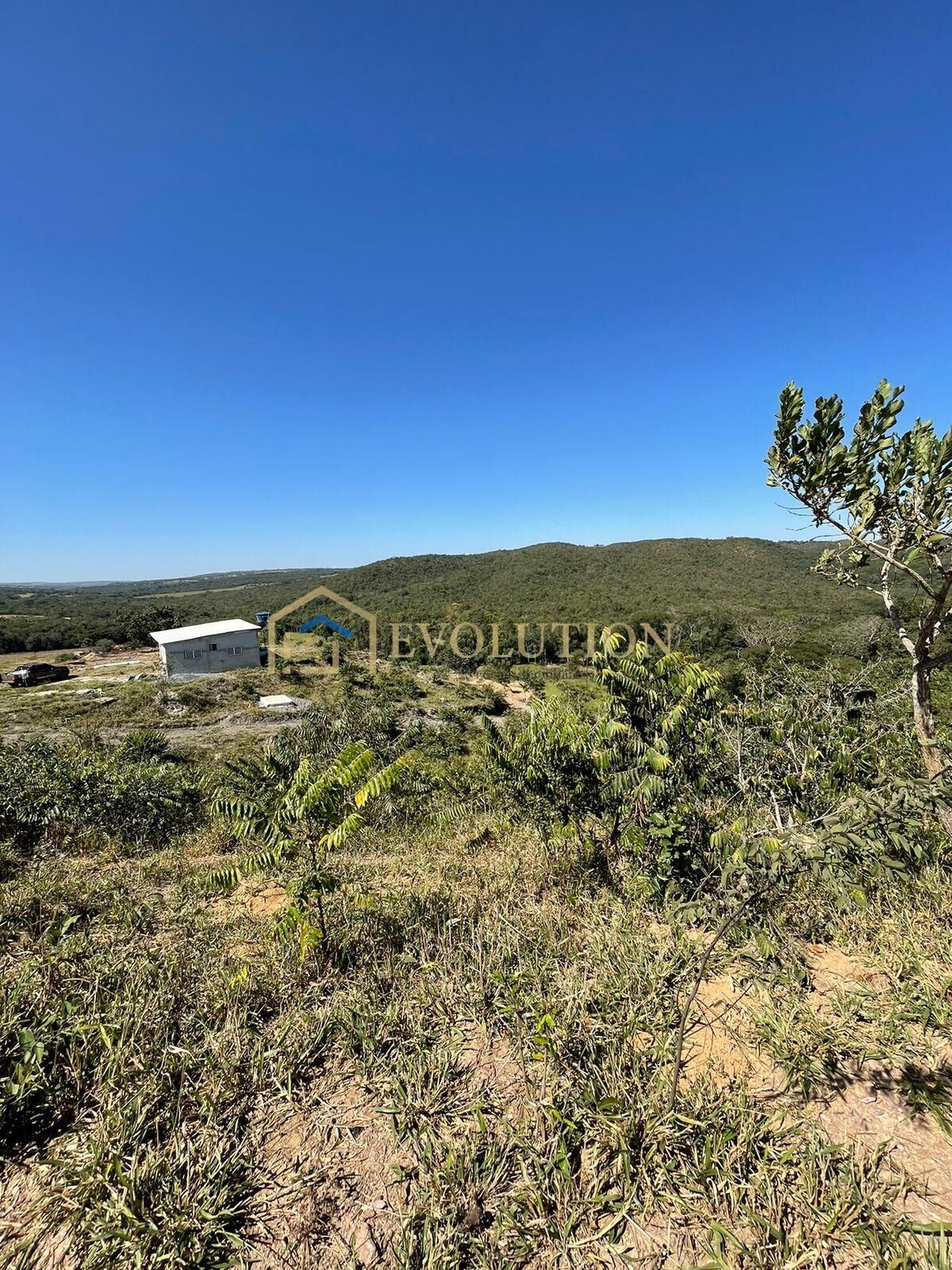 Sítio à venda com 6 quartos, 100000m² - Foto 14