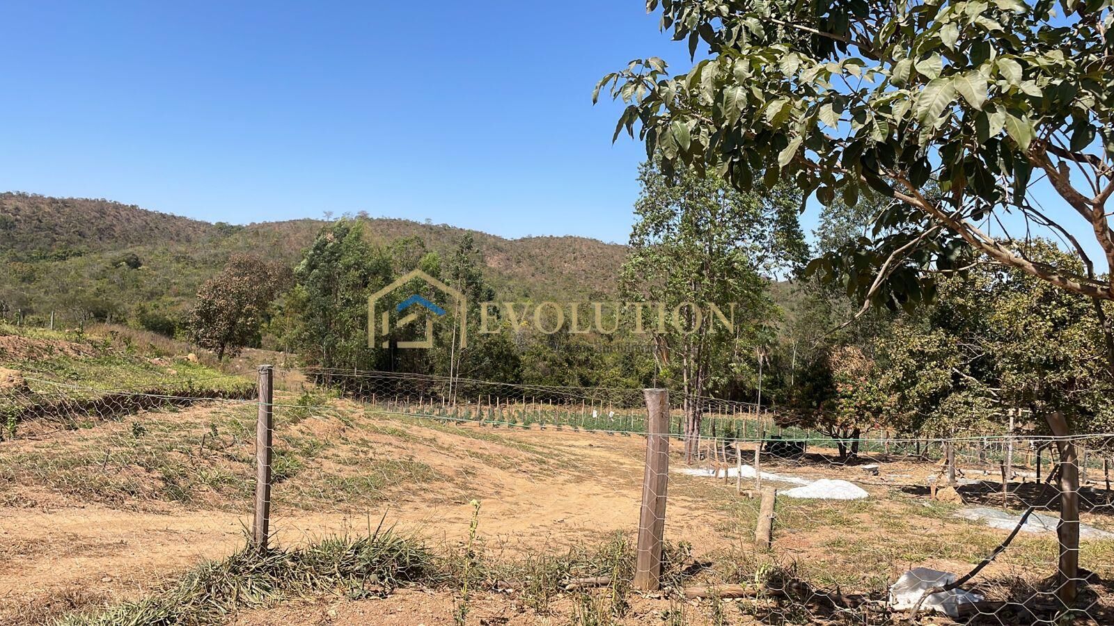 Sítio à venda com 6 quartos, 100000m² - Foto 11