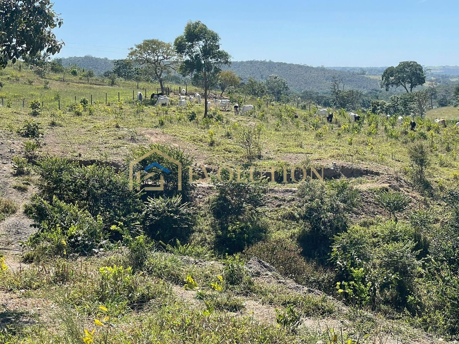 Sítio à venda com 6 quartos, 100000m² - Foto 3