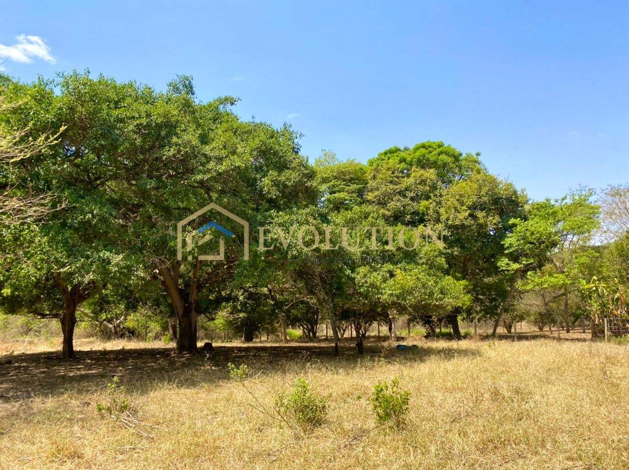 Chácara à venda, 27500m² - Foto 7