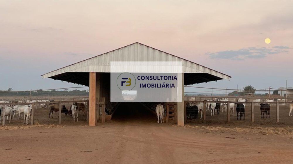 Fazenda à venda, 42000000m² - Foto 42