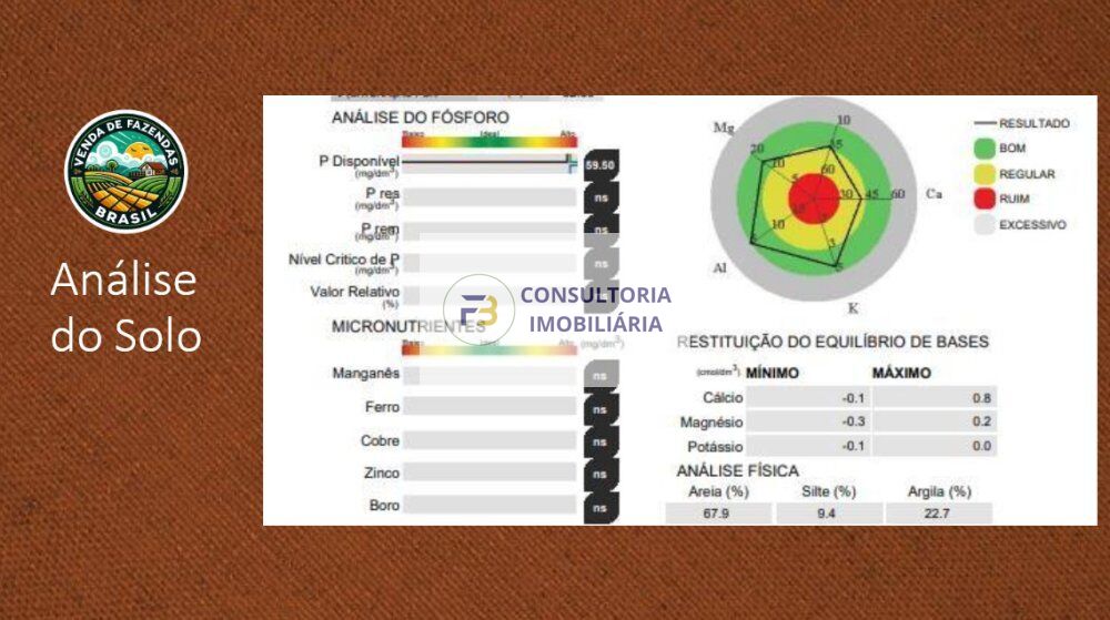 Fazenda à venda, 42000000m² - Foto 27