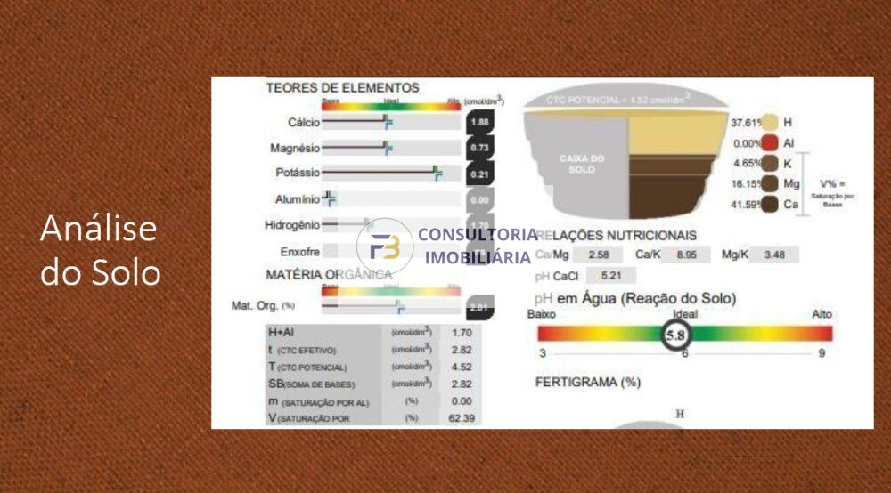 Fazenda à venda, 42000000m² - Foto 6