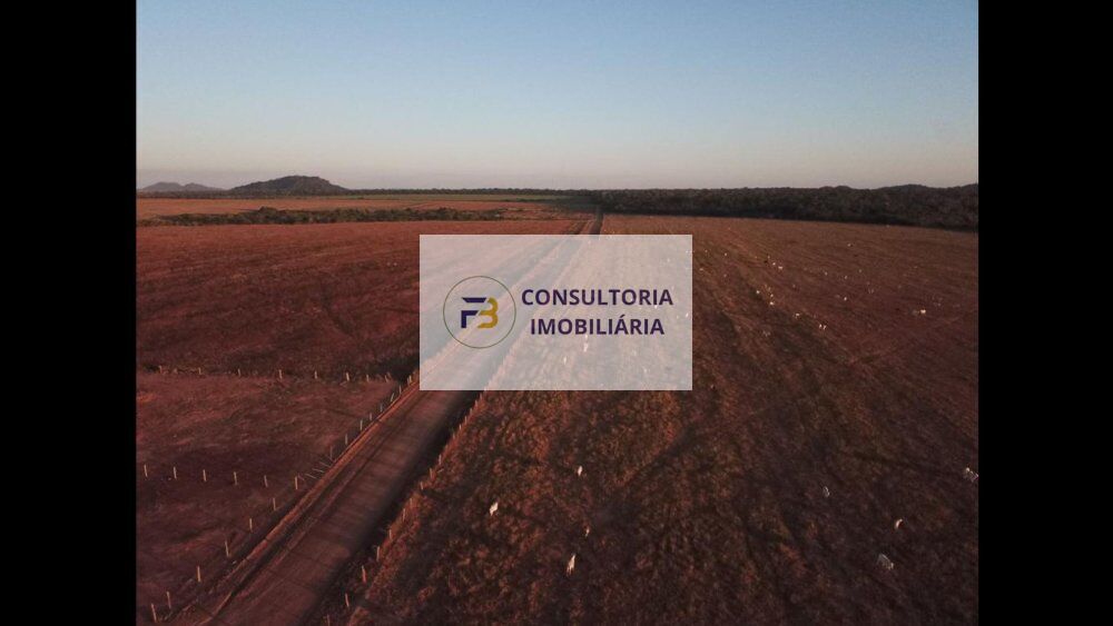 Fazenda à venda, 42000000m² - Foto 7