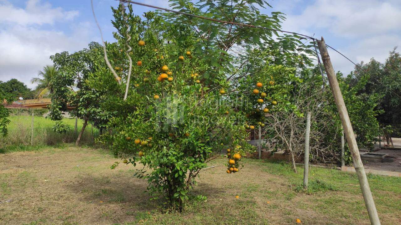 Fazenda à venda com 2 quartos, 90m² - Foto 25