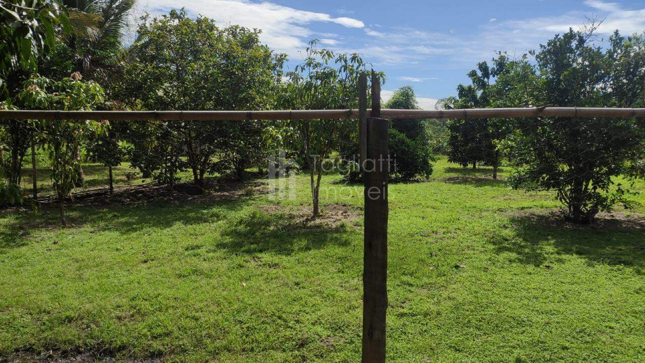 Fazenda à venda com 2 quartos, 90m² - Foto 28