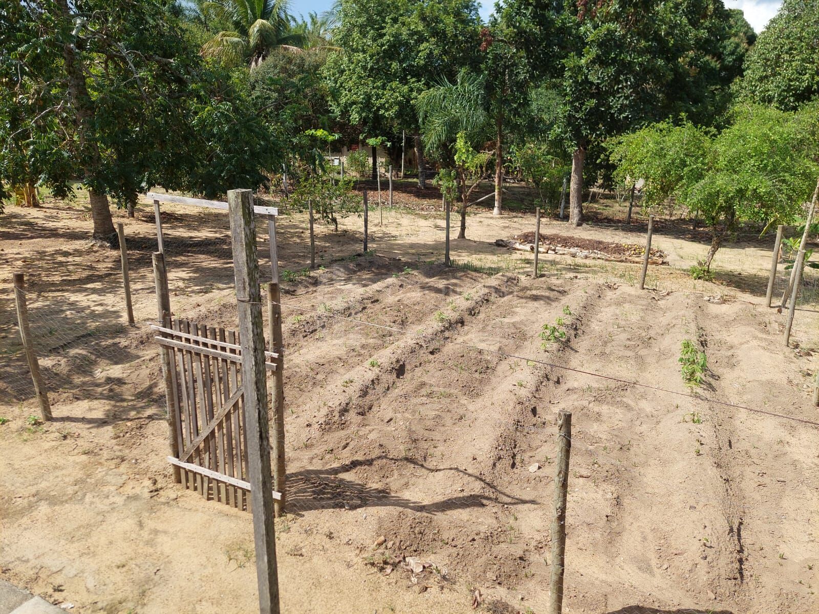 Sítio à venda com 4 quartos, 5500m² - Foto 26