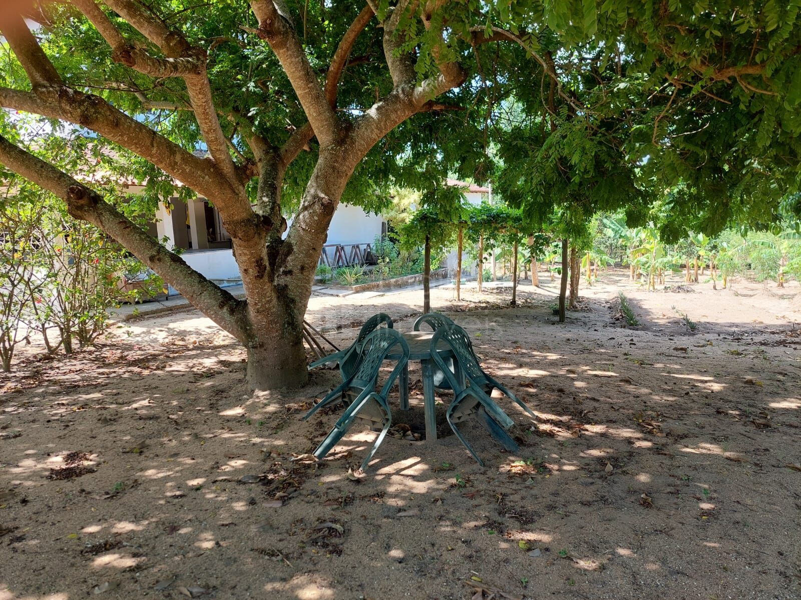 Sítio à venda com 4 quartos, 5500m² - Foto 3