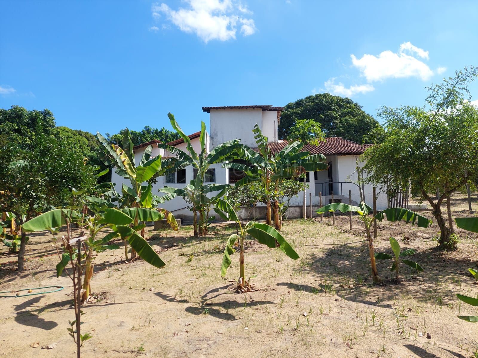 Sítio à venda com 4 quartos, 5500m² - Foto 2