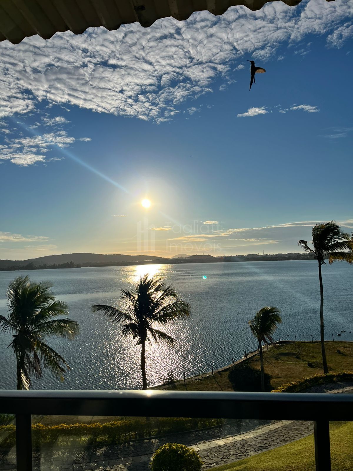 Casa, 6 quartos, 1000 m² - Foto 4