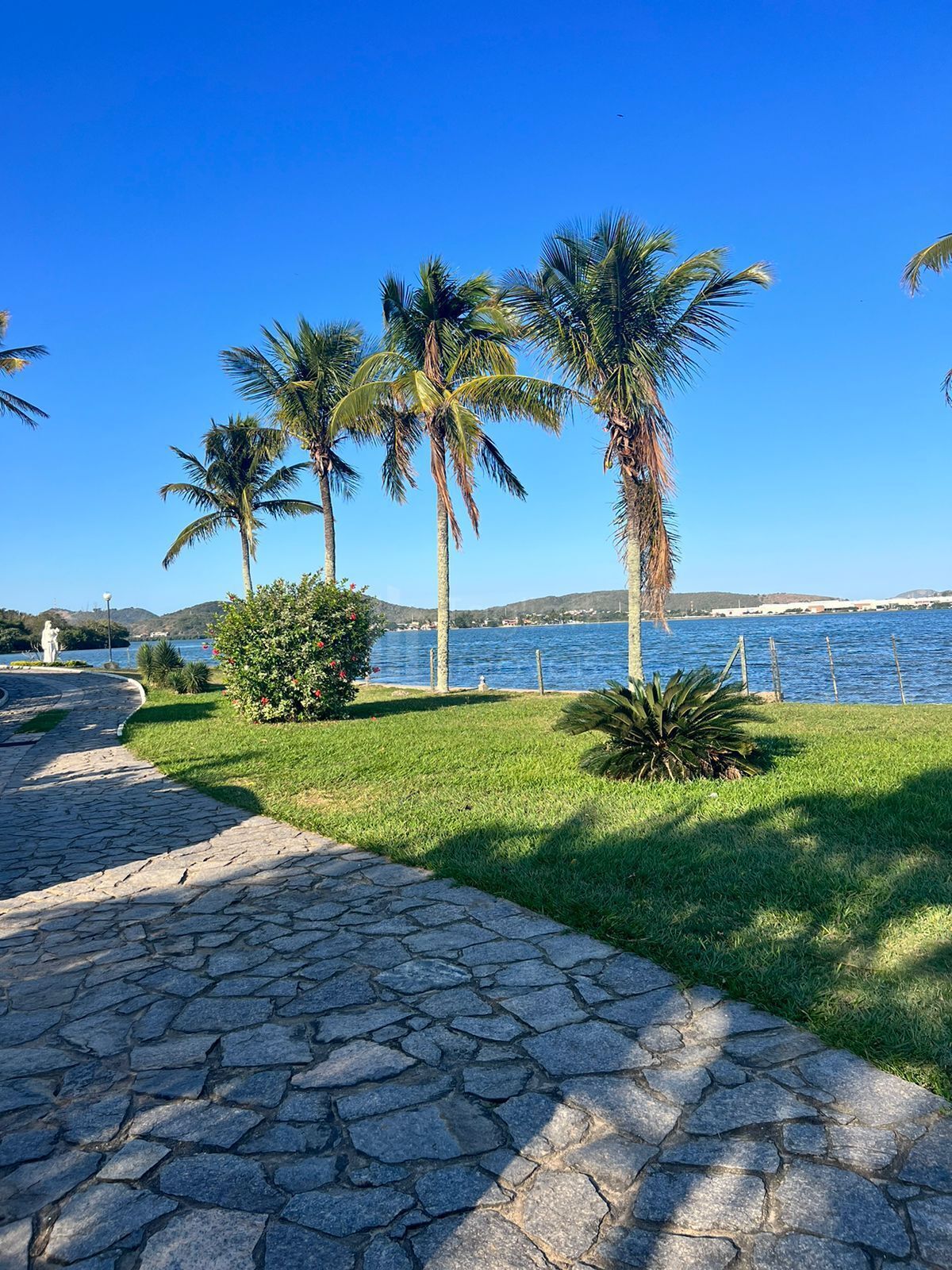 Casa, 6 quartos, 1000 m² - Foto 11