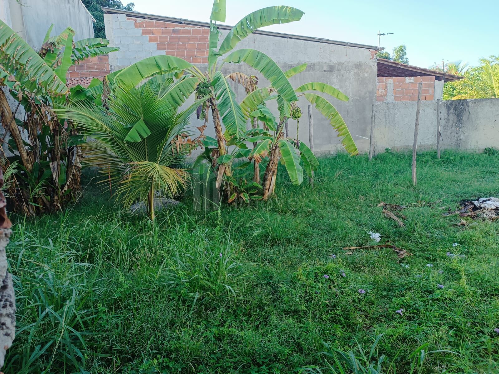 Casa à venda com 1 quarto, 50m² - Foto 2
