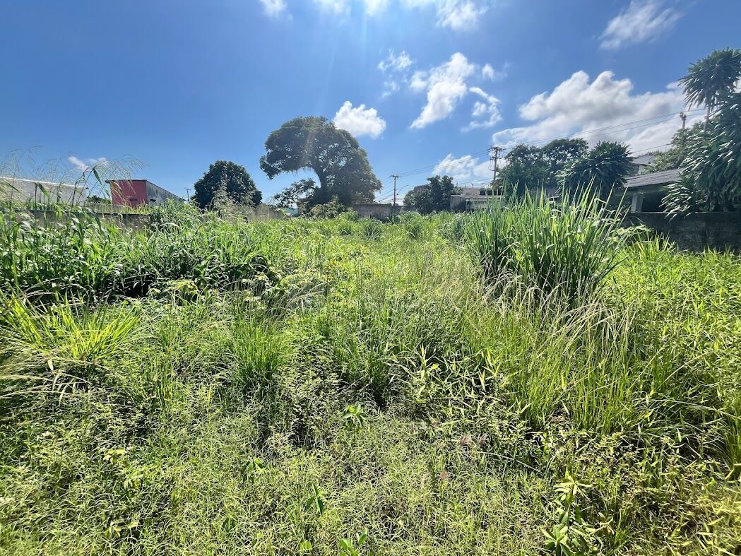 Terreno, 450 m² - Foto 6