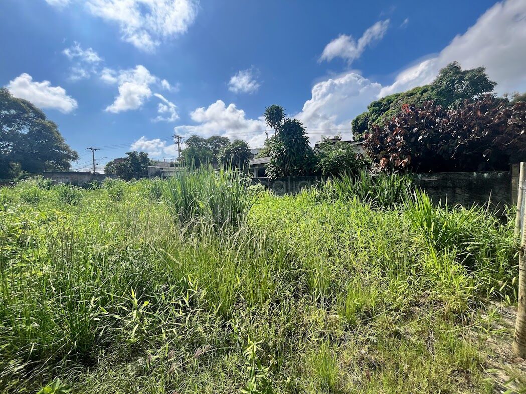 Terreno, 450 m² - Foto 5