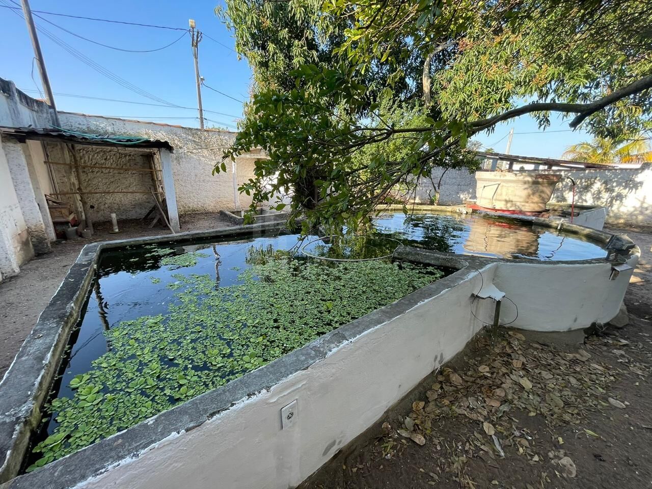 Casa à venda com 6 quartos, 400m² - Foto 32
