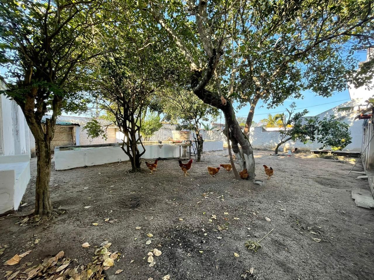 Casa à venda com 6 quartos, 400m² - Foto 36