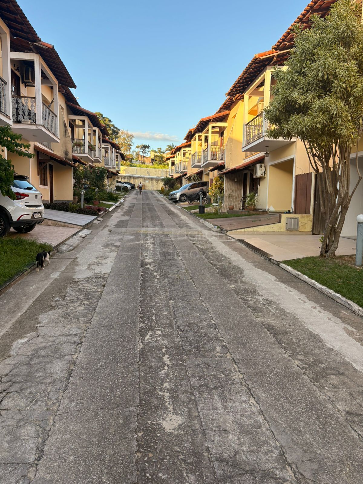 Casa, 4 quartos, 116 m² - Foto 23