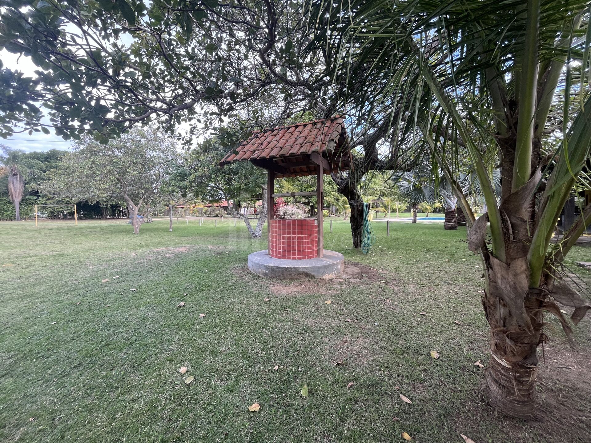 Sítio à venda com 4 quartos, 5000m² - Foto 16