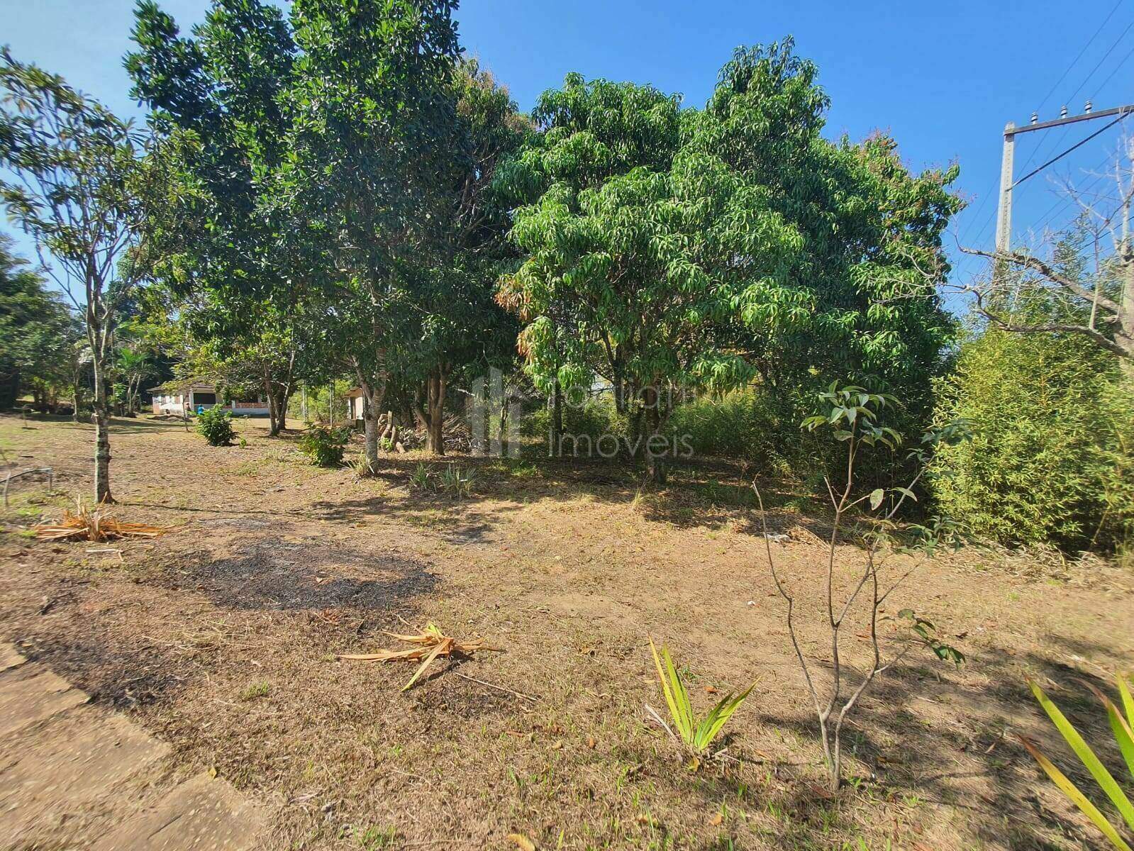 Casa à venda com 7 quartos, 400m² - Foto 10