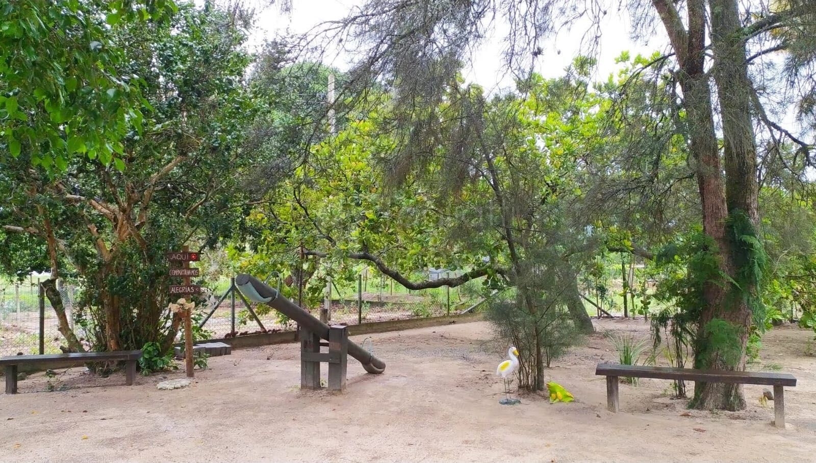 Sítio à venda com 3 quartos, 19576m² - Foto 16